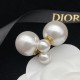 Dior Earrings