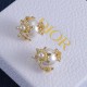 Dior Earrings