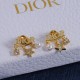 Dior Earrings