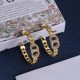 Dior Earrings