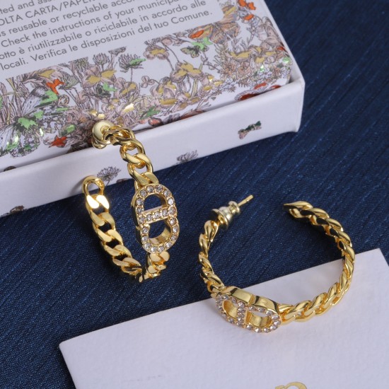 Dior Earrings