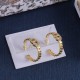 Dior Earrings
