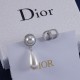 Dior Earrings