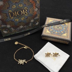 Dior Earrings