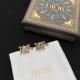 Dior Earrings