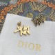 Dior Earrings