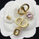 Dior Earrings