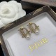Dior Earrings