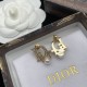 Dior Earrings