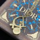 Dior Earrings