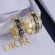 Dior Earrings