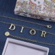 Dior Earrings