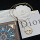 Dior Necklace