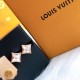 LV Earrings