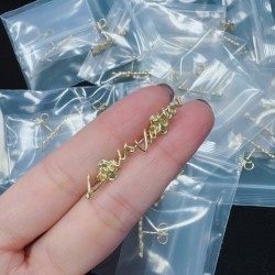LV Earrings