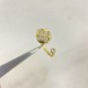 LV Ring
