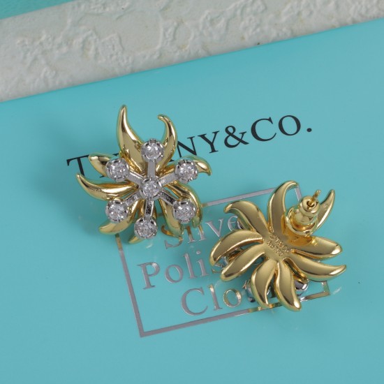 Tiffany Earrings