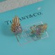 Tiffany Earrings