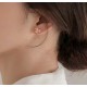 Van Cleef Earrings