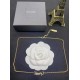 YSL Necklace
