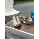 Kids' Shoes