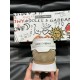 DG Shoes: Top Quality