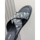 Dior Shoes: Top Quality