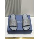 Dior Shoes: Top Quality