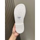 Dior Shoes: Top Quality