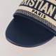 Dior Shoes: Top Quality