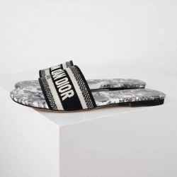 Dior Shoes: Top Quality