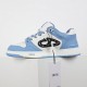 Dior Shoes: Top Quality