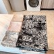 Burberry Scarf Good Quality