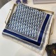 Dior Scarf Good Quality