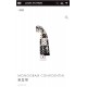LV Scarf Good Quality