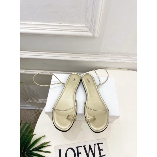 Celine Slippers Shoes
Women 35-41
