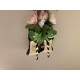 DG High Heel Shoes Best Quality
Women 35-41

