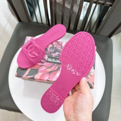 DG slippers