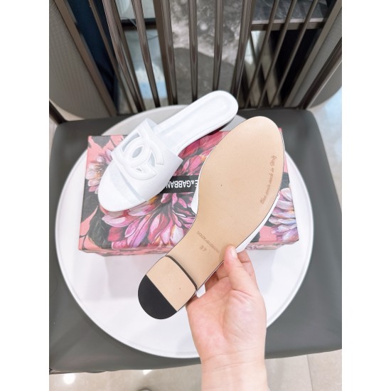 DG slippers