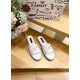 DG slippers