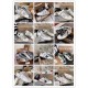 GGDB Shoes Collection
Women 35-41
Men 39-45