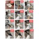 GGDB Shoes Collection
Women 35-41
Men 39-45