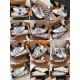 GGDB Shoes Collection
Women 35-41
Men 39-45
