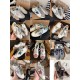 GGDB Shoes Collection
Women 35-41
Men 39-45