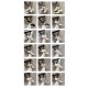 GGDB Shoes Collection
Women 35-41
Men 39-45