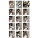 GGDB Shoes Collection
Women 35-41
Men 39-45