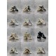 GGDB Shoes Collection
Women 35-41
Men 39-45