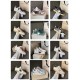 GGDB Shoes Collection
Women 35-41
Men 39-45