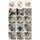 GGDB Shoes Collection
Women 35-41
Men 39-45