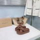 Inuikii Slippers Collection
Women 35-40
